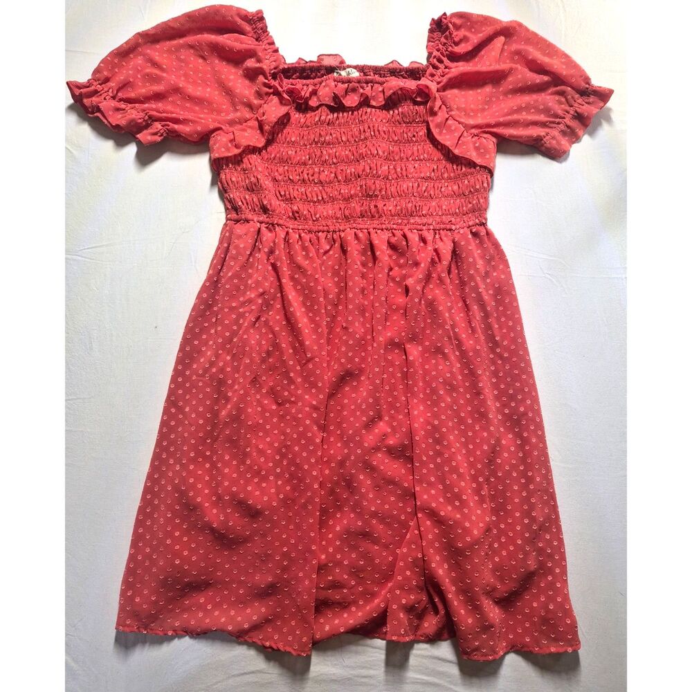 Indigo Rose Swiss Dot Smocked Mini Dress Rust Red 2X
